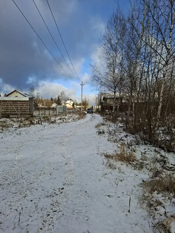 Продается большой участок земли в д. Ельники Рузский р. - Фото 4
