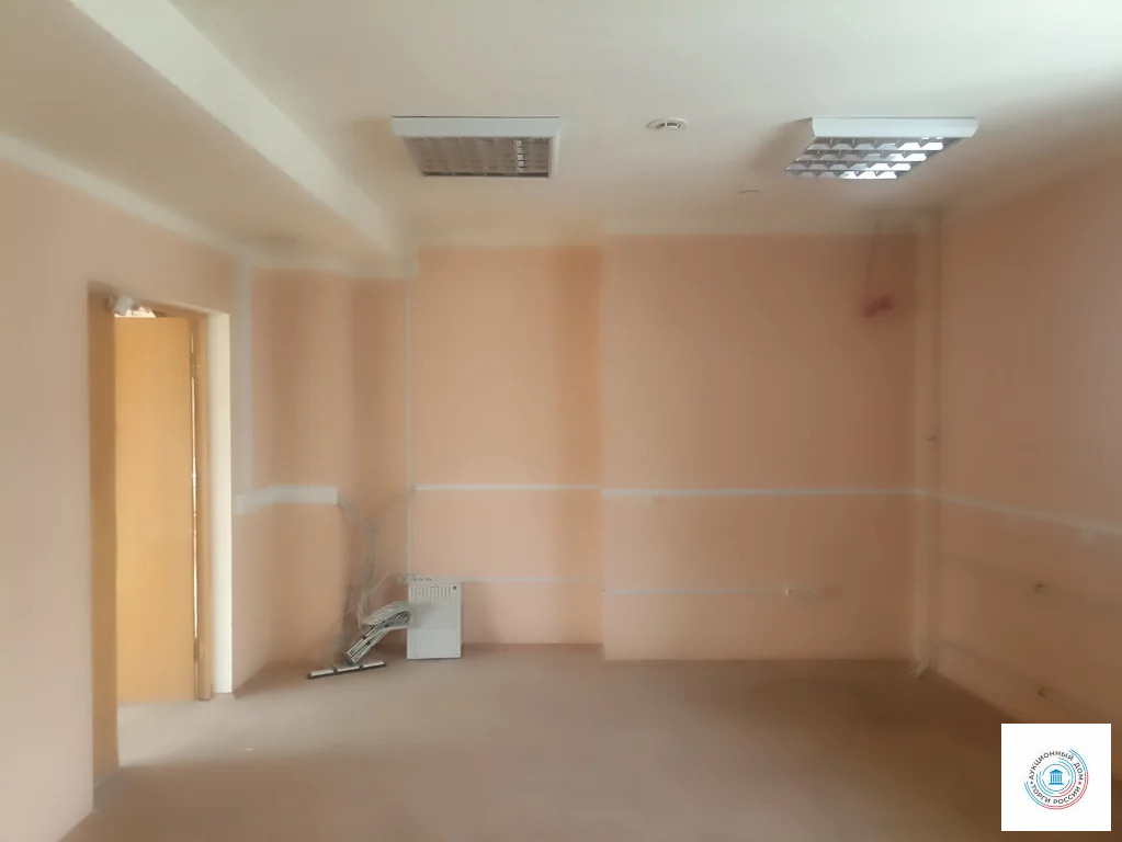 Помещение свободного назначения, 265.4 м - Фото 0