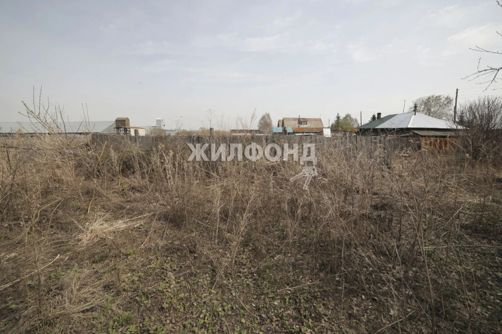 Продажа дома, Кирза, Ордынский район, ул. Восточная - Фото 6
