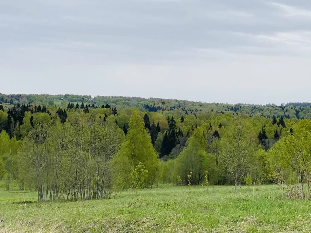 Продажа участка, Дмитровский район - Фото 4