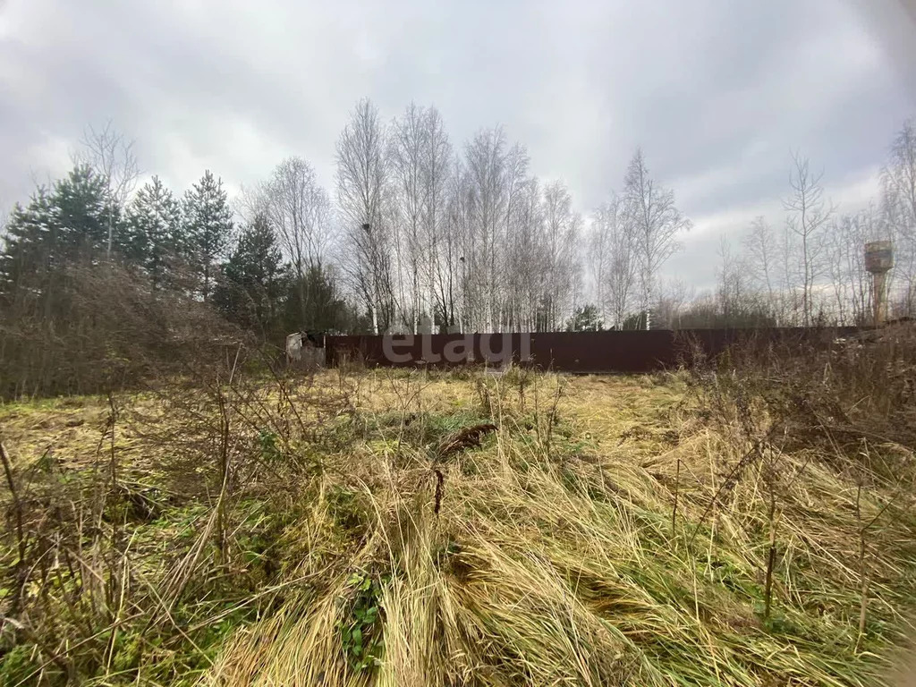Продажа участка, Богородский г. о. - Фото 4