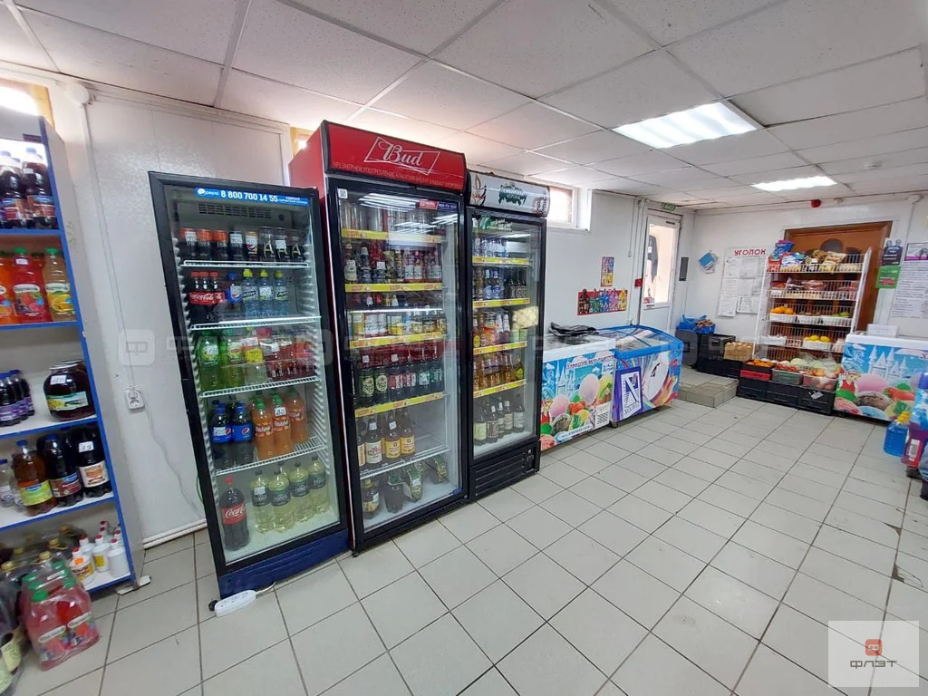 Продажа торгового помещения, Нижний Услон, Верхнеуслонский район, ул. ... - Фото 14