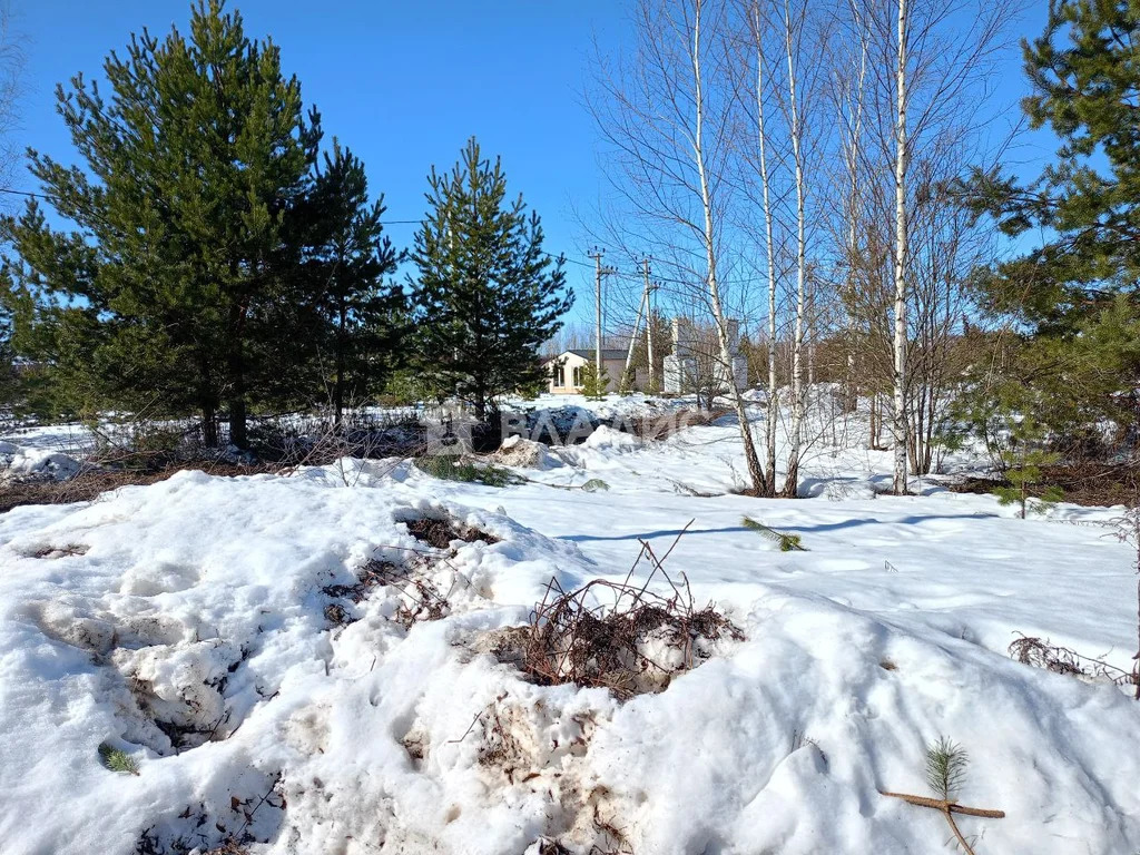 Суздальский район, село Баскаки, Никольская улица,  земля на продажу - Фото 4