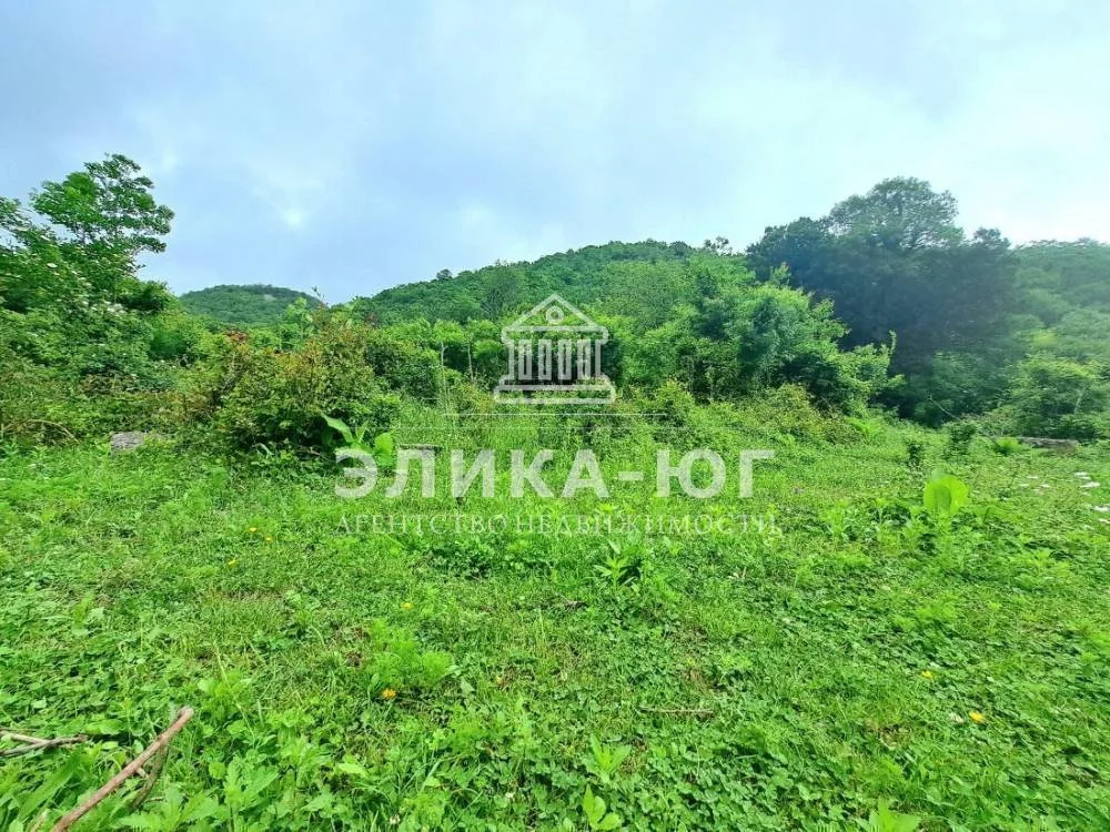 Продажа участка, Лермонтово, Туапсинский район, снт.Бодрость - Фото 3