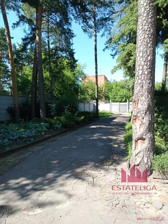 Продажа участка, Электрогорск, ул. Ленина - Фото 2