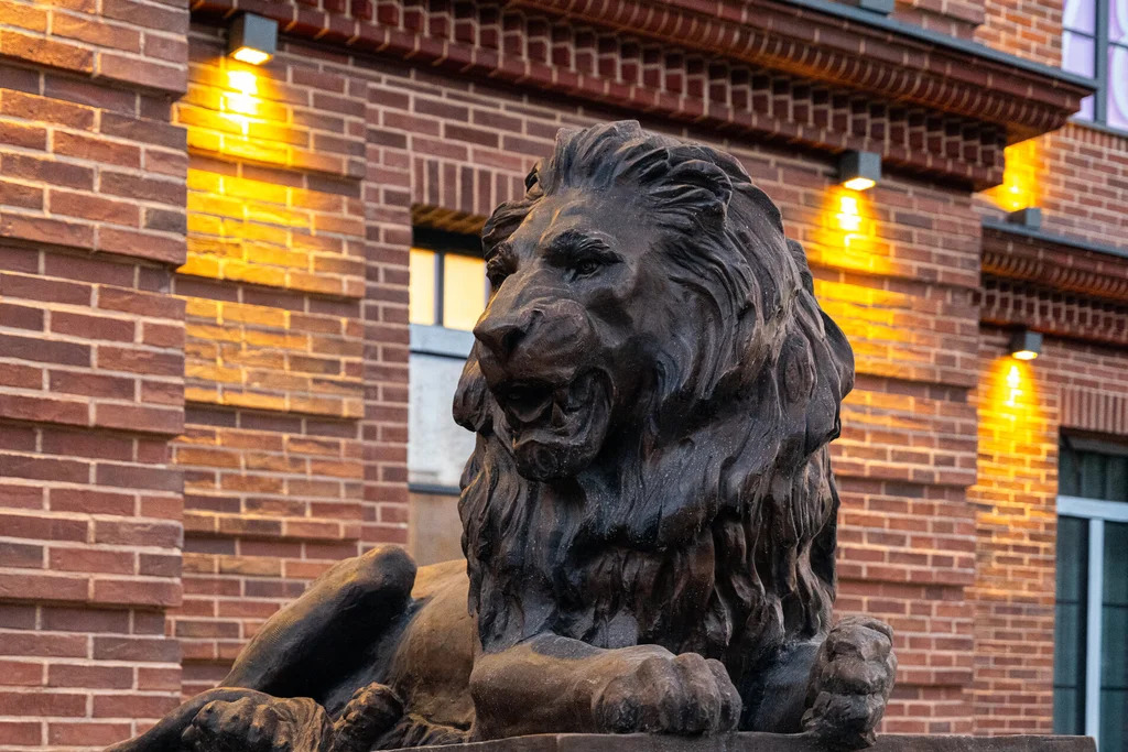 Продажа квартиры, м. Василеостровская, 13-я Линия В.О. - Фото 28