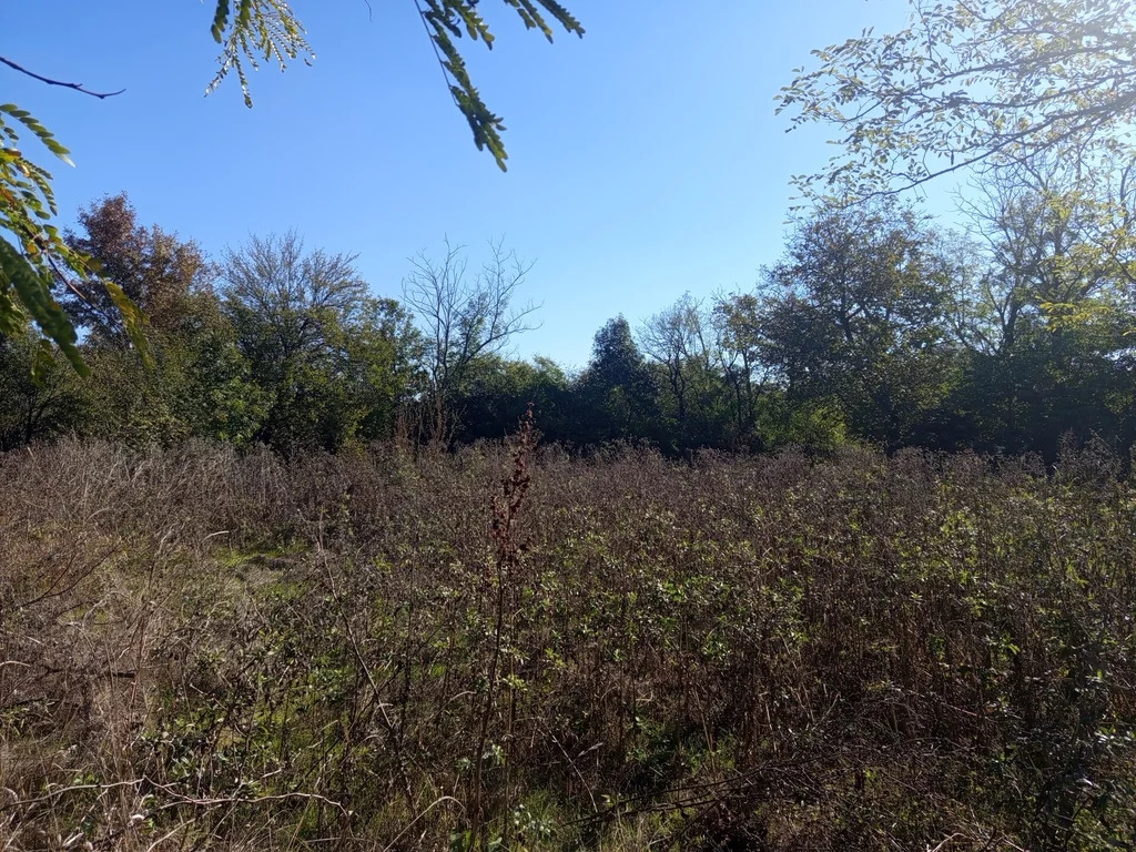 Продажа участка, Новомышастовская, Красноармейский район, ул. Толстого - Фото 12