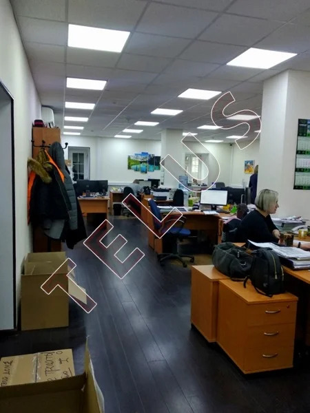 м. Баррикадная, Большая Грузинская, 903 м2, Здание (ном. объекта: 269) - Фото 16