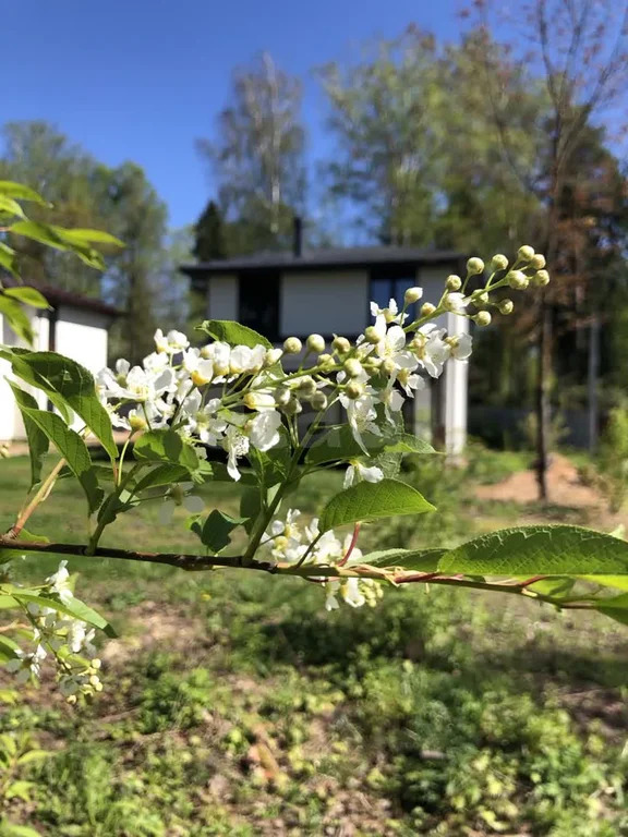 Продажа дома, Щелковский район - Фото 4