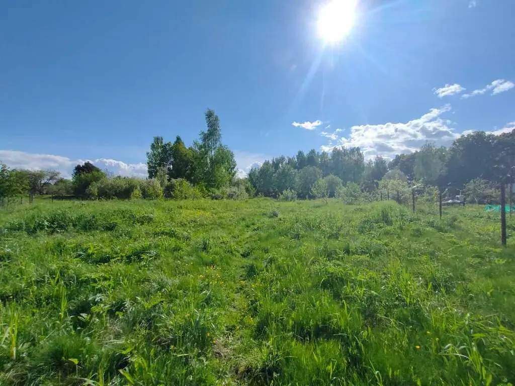 Продам 15 соток в Митяево МО - Фото 3