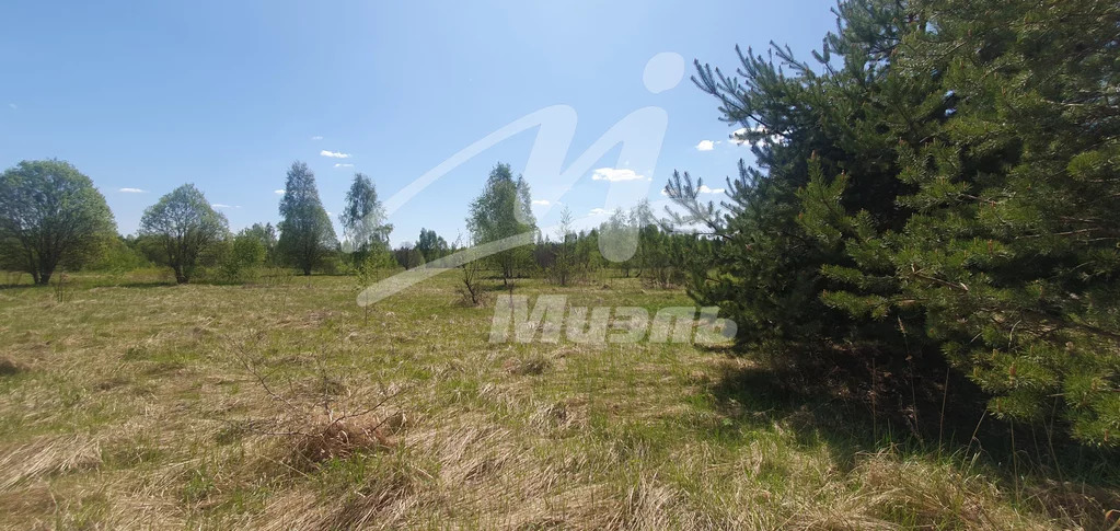 Продажа участка, Наро-Фоминск, Наро-Фоминский район, Годуново д. - Фото 8