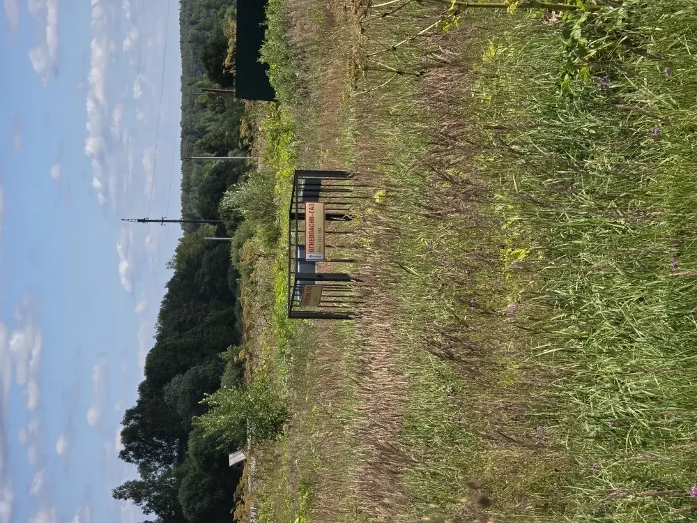 Продаю уч. 30 сот. с Семеновское - Фото 21