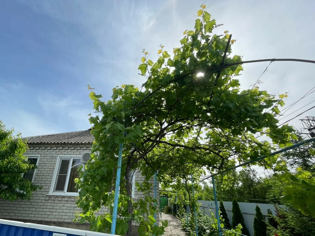 Продажа дома, Крымск, Крымский район, ул. Синева - Фото 31