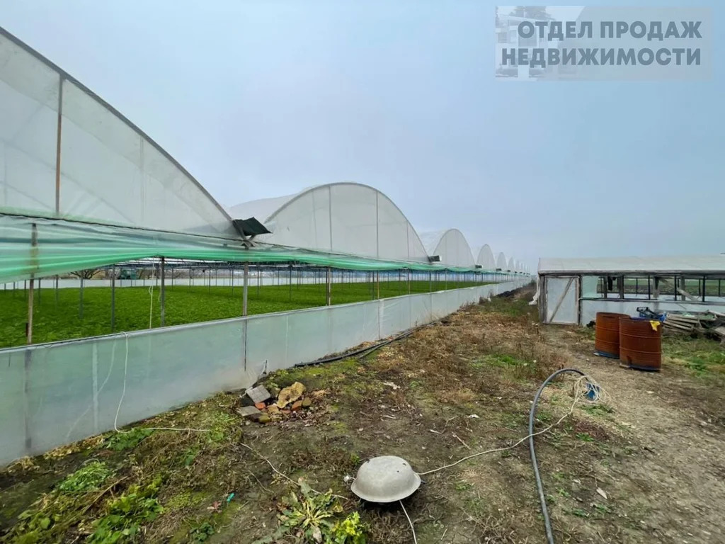 Участок с готовым бизнесом - Фото 6