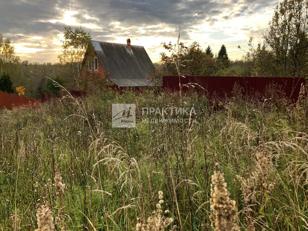 Продажа участка, Рузский район, СНТ Анюта - Фото 4