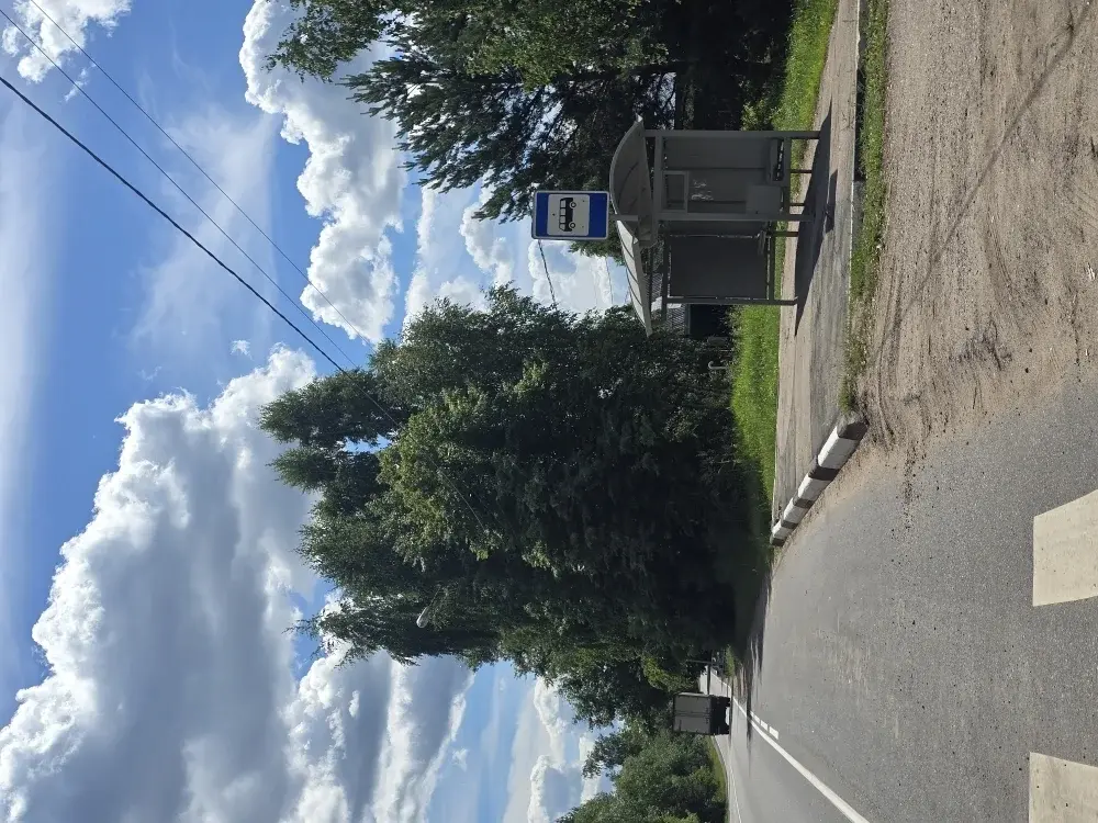 Продаю дом в с. Никольское - Фото 15