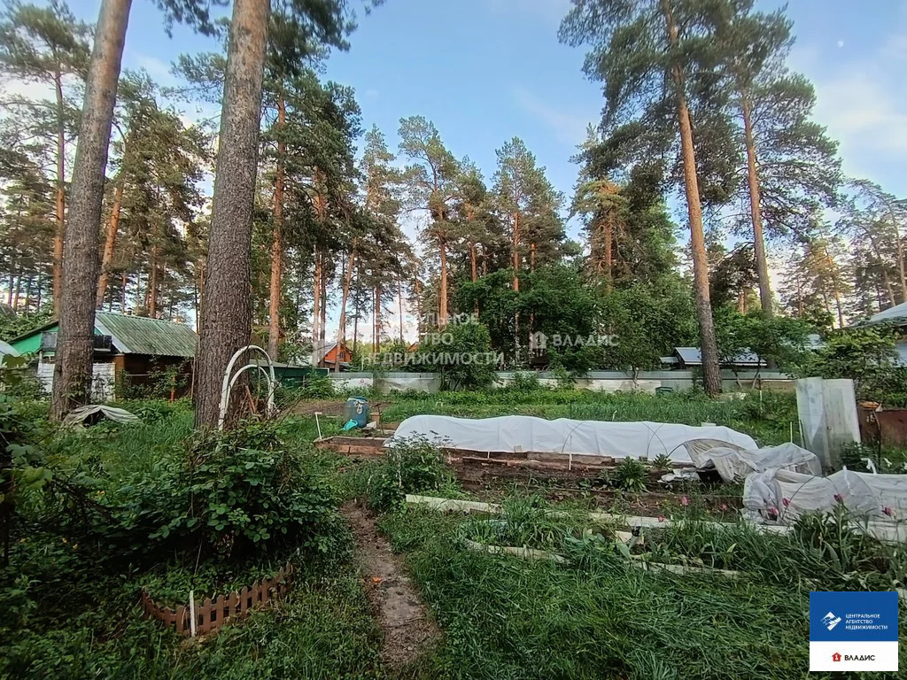 Продажа дома, Рязанский район, садоводческое товарищество Сосна - Фото 7