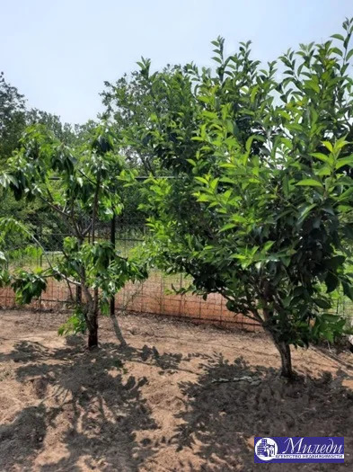 Продажа дома, Батайск, 25 Проезд улица - Фото 18