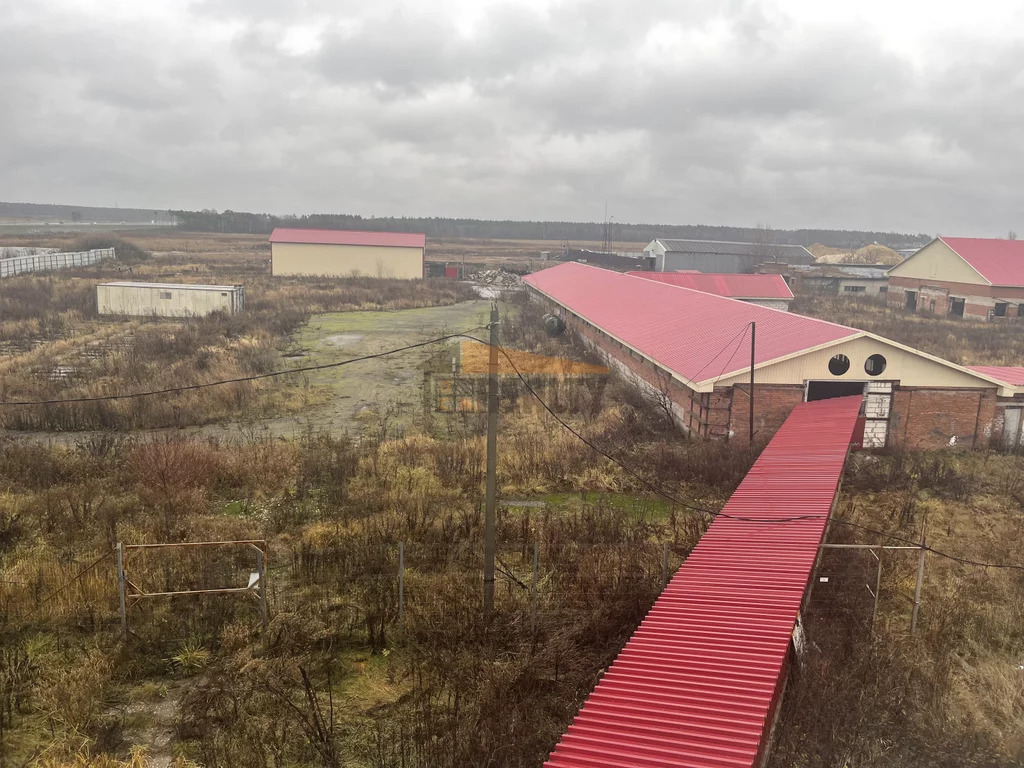 Продажа производственного помещения, Новый Милет, Балашиха г. о, . - Фото 28