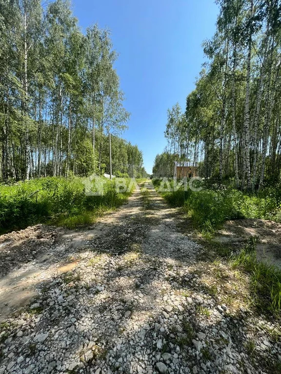 городской округ Владимир, Владимир, Октябрьский район, 2-я Сорокинская . - Фото 5