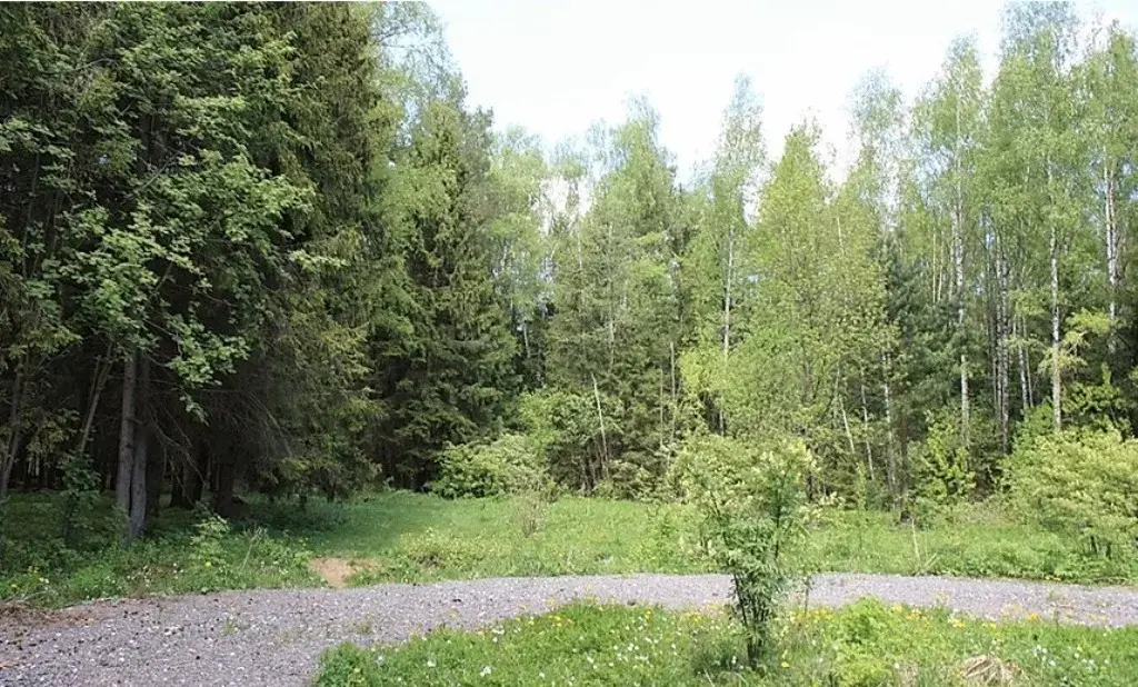 Продажа большого лесного участка в поселке на Новорижском шоссе 18км - Фото 9