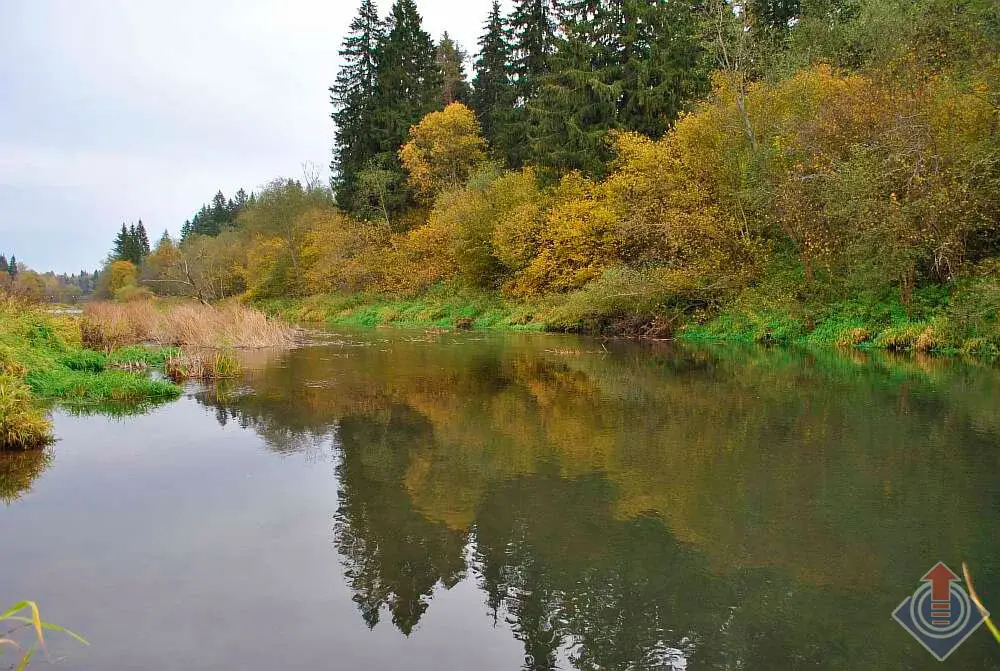Дом на холме вблизи реки в д. Мерчалово в Наро-Фоминском районе - Фото 9