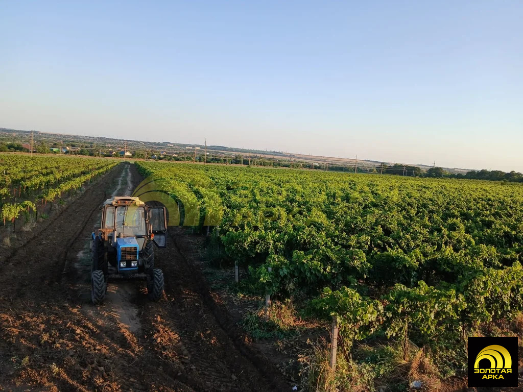 Продажа участка, Старотитаровская, Темрюкский район, Ильича пер. - Фото 3