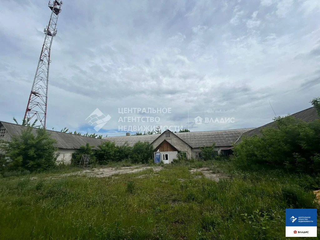 Продажа ПСН, Сасово, ул. Шацкая - Фото 7