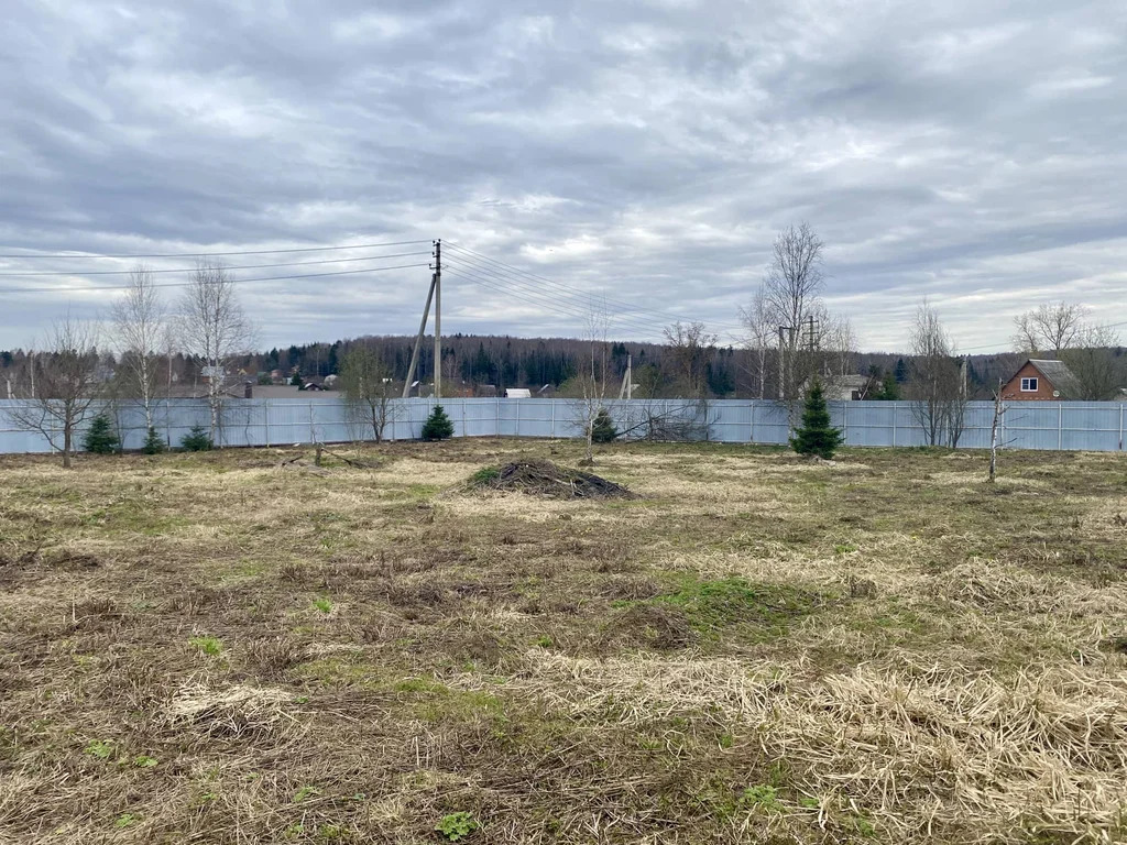 Продажа участка, Базарово, Дмитровский район - Фото 4