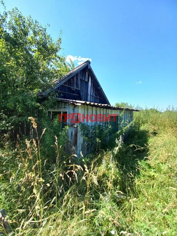 Продажа дома, Чингис, Ордынский район, ул. Кустарная - Фото 0