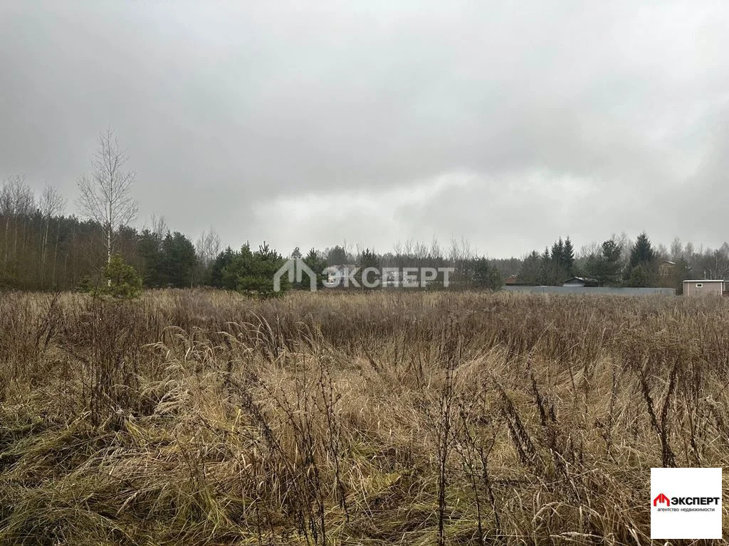 Земельный участок, д. Ефимово - Фото 3