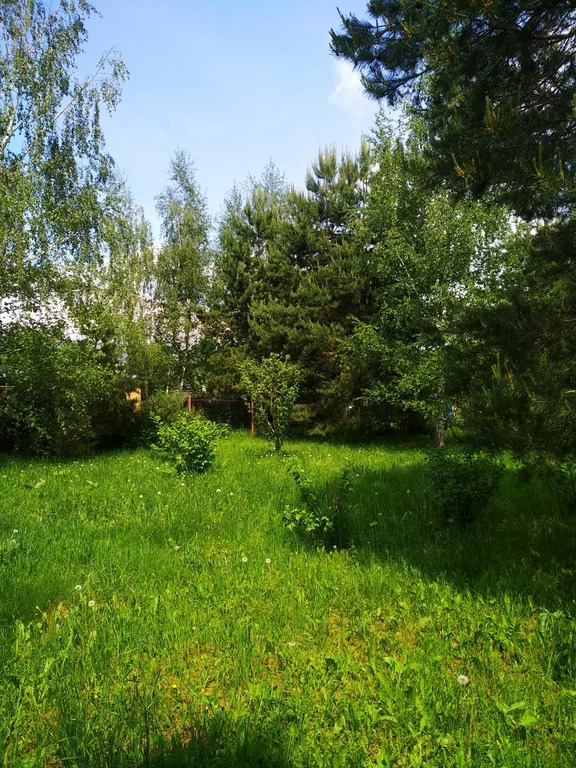 Продажа участка, Николо-Урюпино, Красногорский район, ул. Липовая - Фото 15