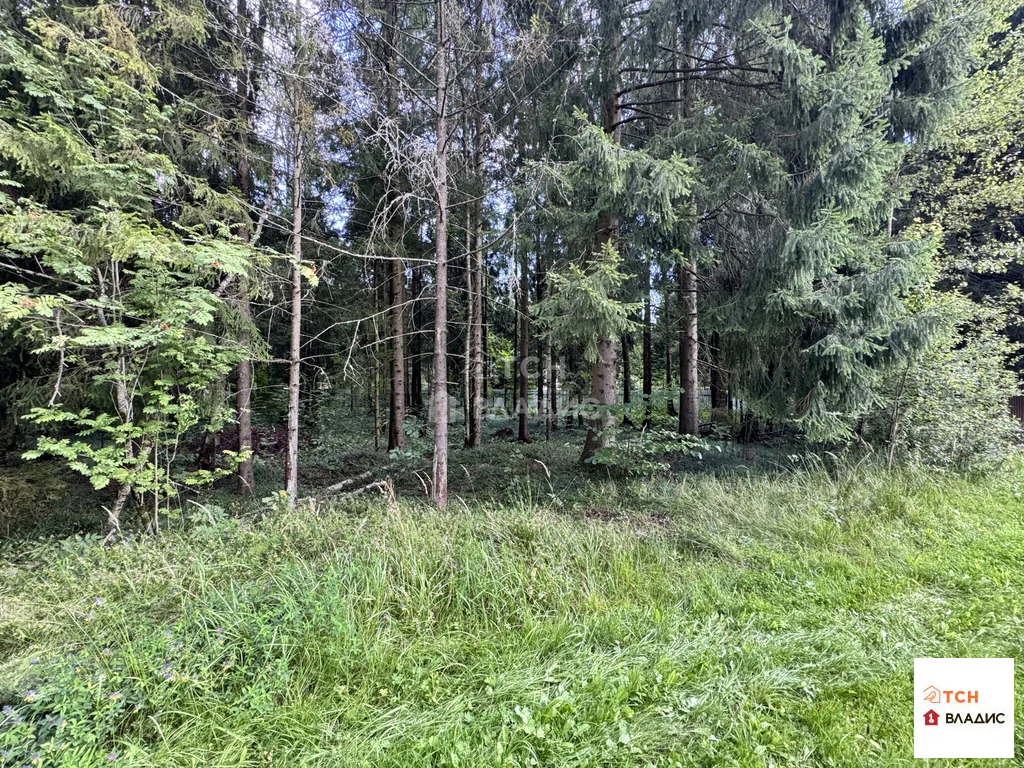 Продажа участка, Могильцы, Лотошинский район - Фото 6