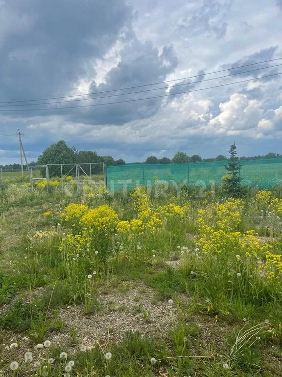 Продажа дома, Ущевицы, Волосовский район, Ущевицы д. - Фото 24