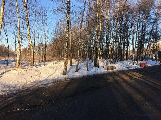 Продажа участка, Мамыри, Мосрентген с. п. - Фото 5