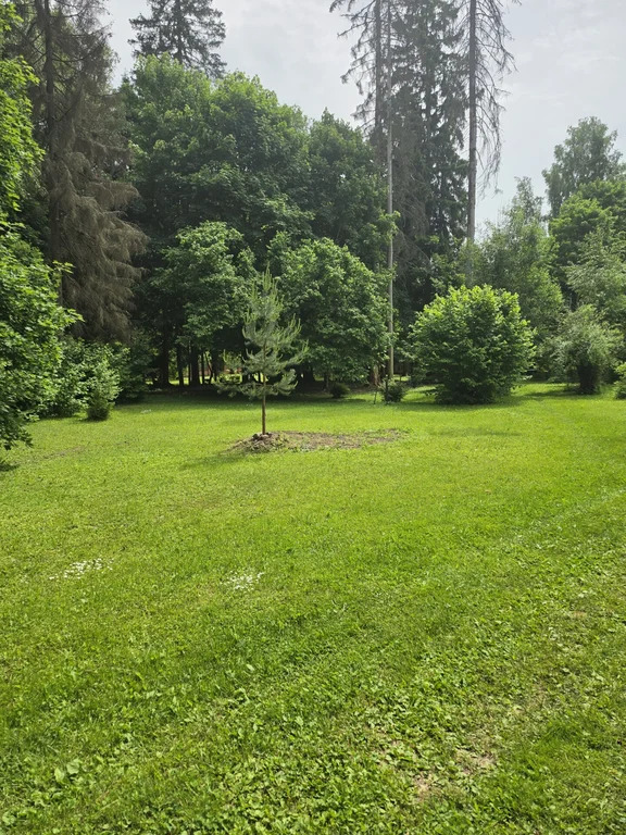 Продажа участка, Мытищинский район - Фото 26
