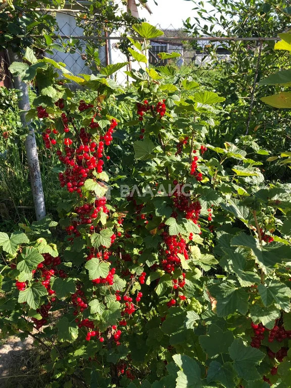 городской округ Владимир, Владимир, Фрунзенский район, улица Кирова,  ... - Фото 31