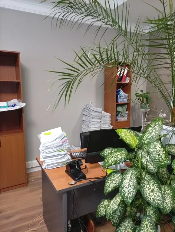 Офис 218 кв.м. - Фото 12