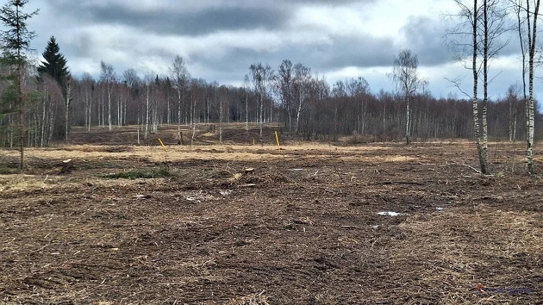 Продажа земельного участка, Давыдково, Зубцовский район - Фото 6