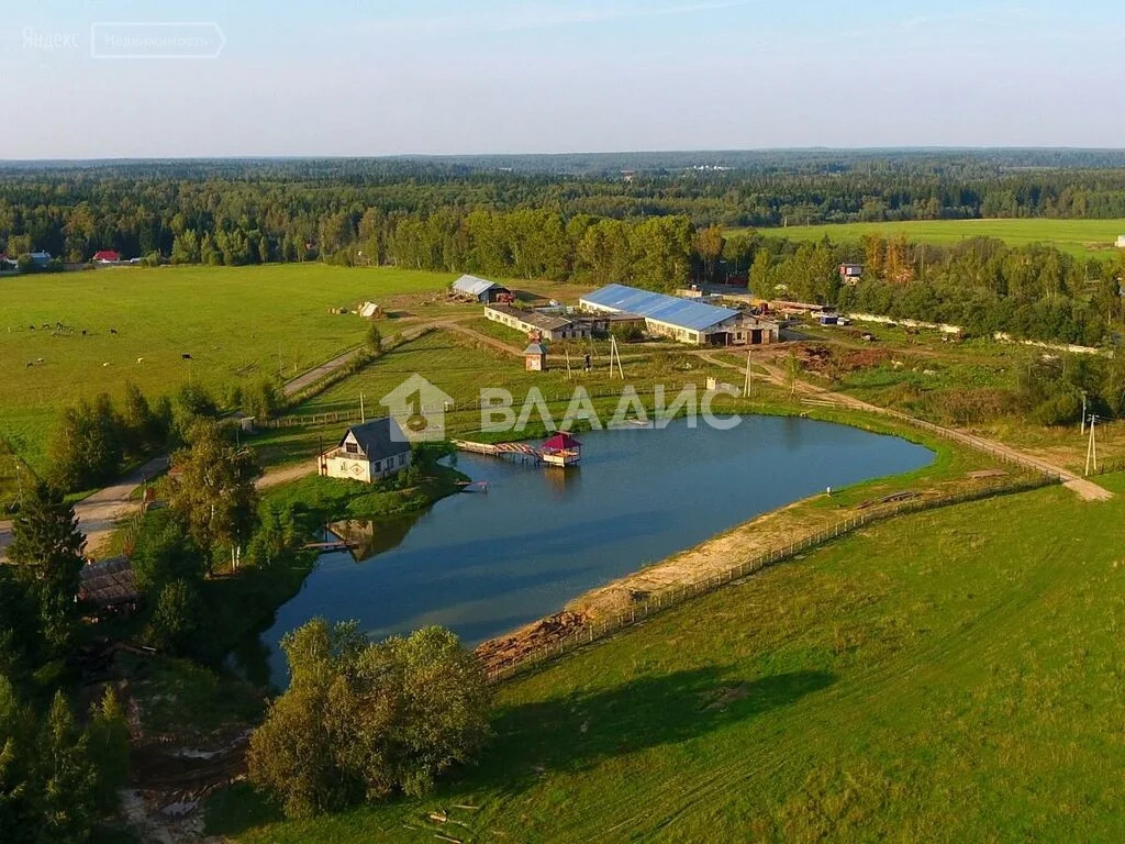 Рузский городской округ, посёлок Дорохово, Стеклозаводская улица,  ... - Фото 0