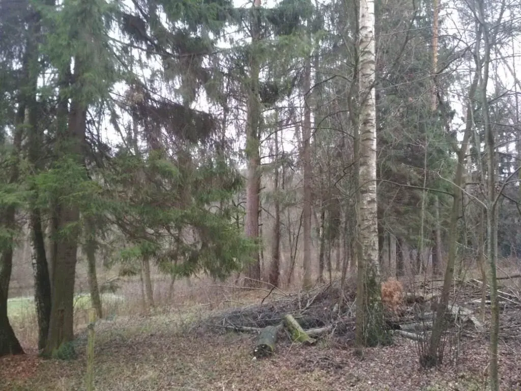 Лесной участок у воды в поселке на Новорижском ш. 10 км от МКАД - Фото 1