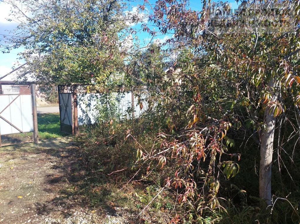 Участок с домом - Фото 12