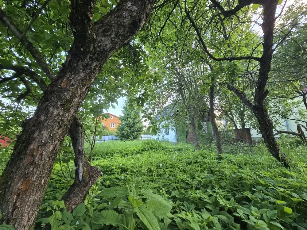 Продаю дачу в с. Покровское - Фото 12