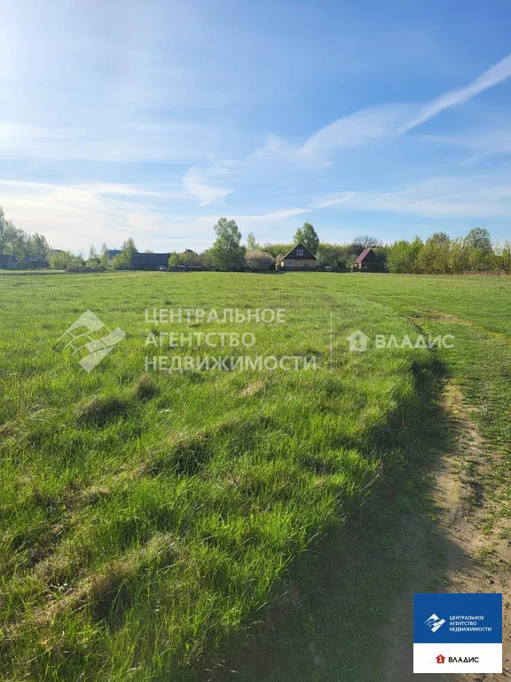 Продажа участка, Дегтяное, Спасский район, ул. Центральная - Фото 4