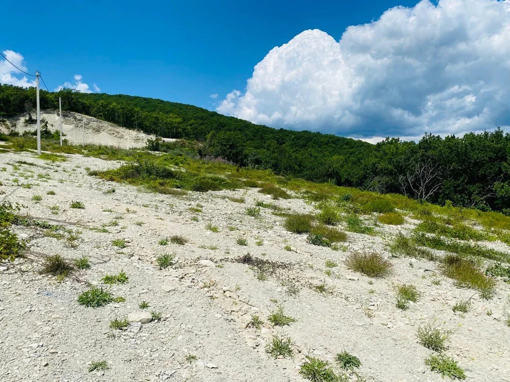 Продажа участка, Геленджик, 50 - Фото 5