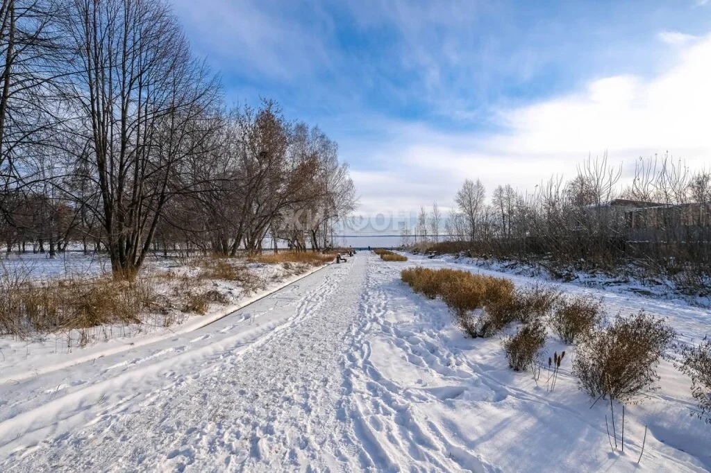 Продажа квартиры, Новосибирск, ул. Софийская - Фото 19