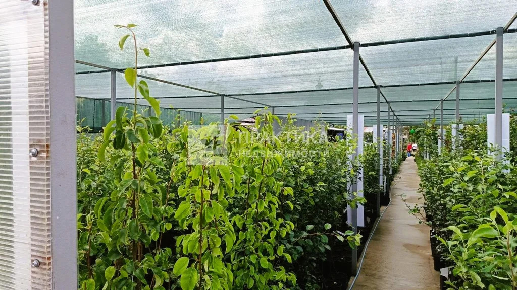 Продажа ПСН, Балашиха, Балашиха г. о., Щелковское ш. - Фото 24