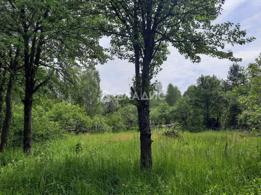 Судогодский район, деревня Луньково, Центральная улица, дом на . - Фото 13