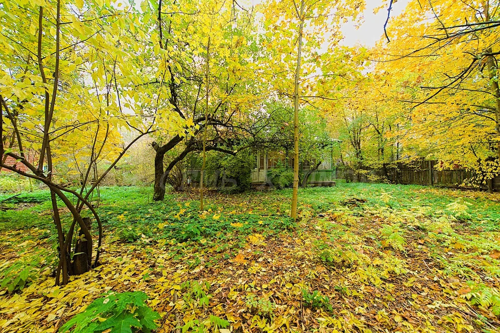 Продажа участка, Загорянский, Щелковский район, ул. Матросова - Фото 4