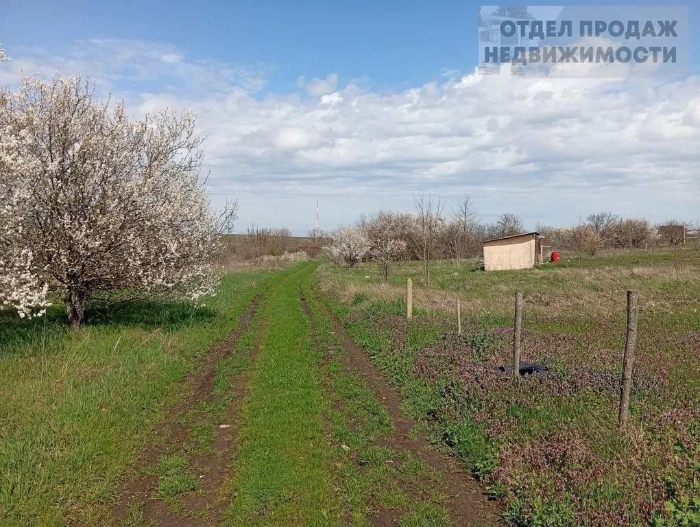 Участок на Озерках - Фото 6